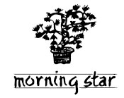 logo morning star